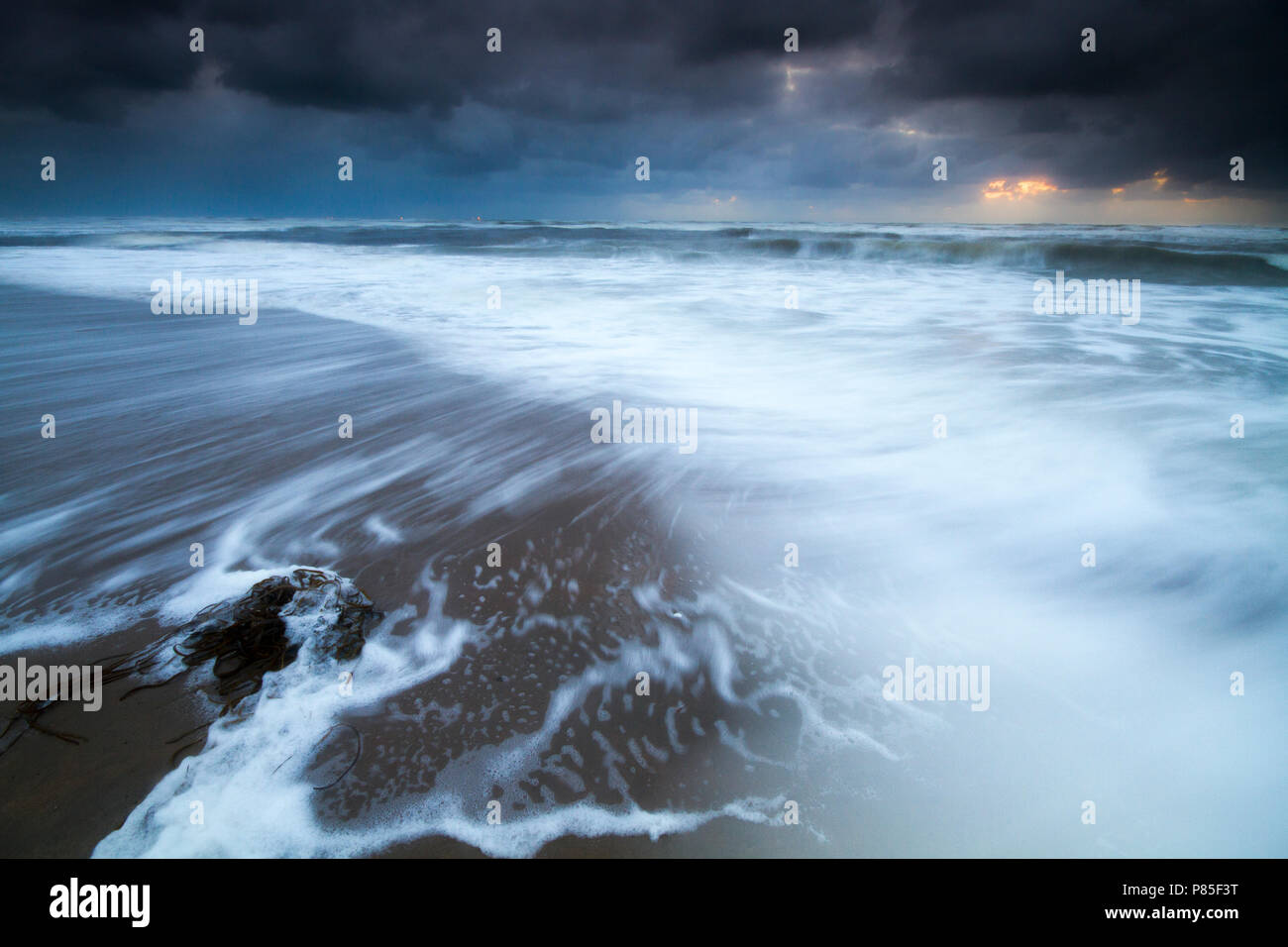 Il Branding van stormachtige Noordzee incontrato zeewier op voorgrond; Surf di tempestoso Mare del Nord con alghe marine in primo piano Foto Stock