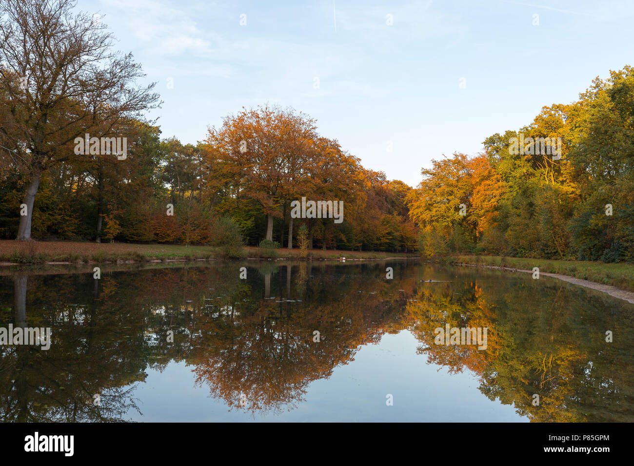 Dutch tipico paesaggio Foto Stock