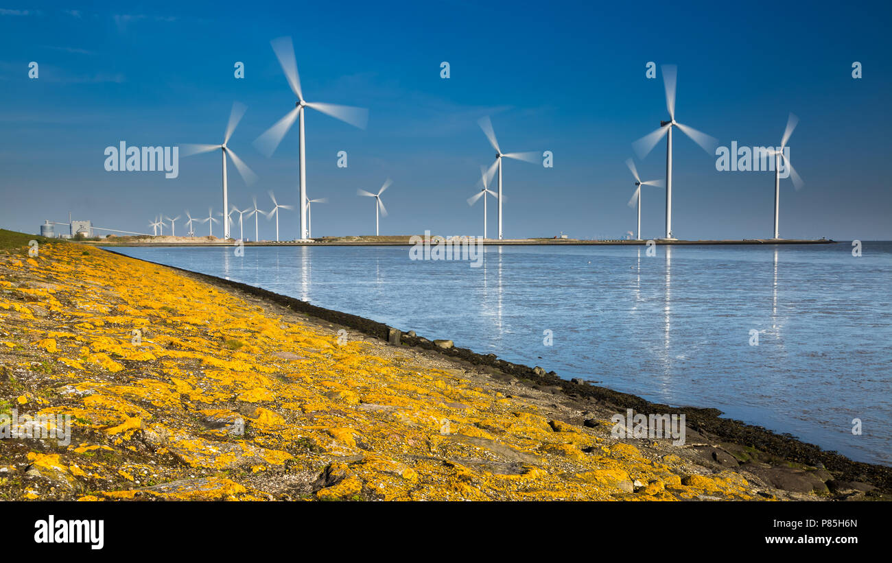 Windmolens bij het borra Eems Oost Groningen, mulini a Eems Oriente Groningen velme Foto Stock