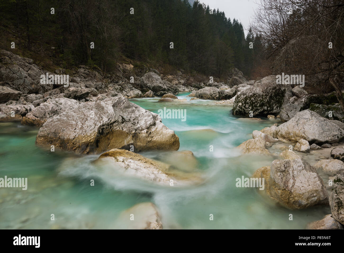 Soca river. Il Parco Nazionale del Triglav. La Slovenia Foto Stock