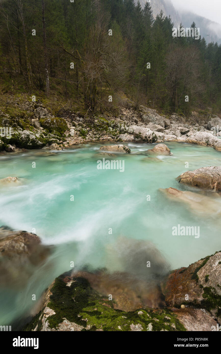 Soca river. Il Parco Nazionale del Triglav. La Slovenia Foto Stock