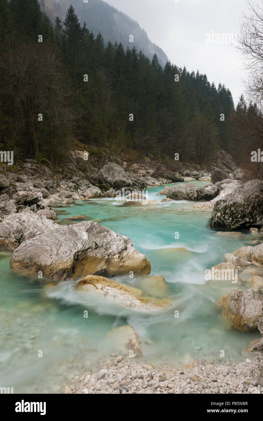 Soca river. Il Parco Nazionale del Triglav. La Slovenia Foto Stock