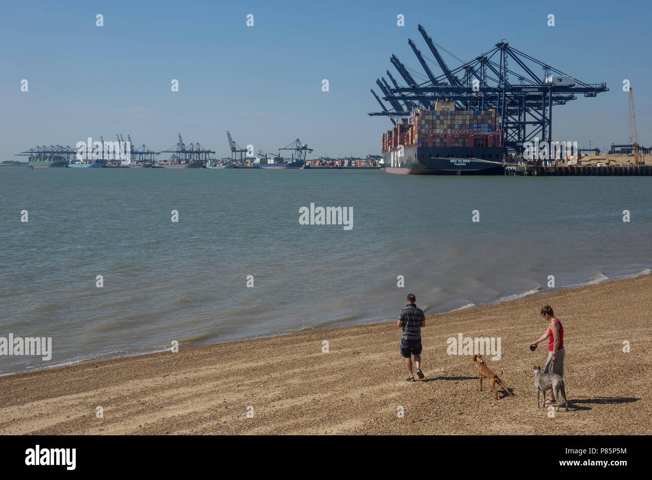 Inghilterra, Suffolk, Felixstowe, Landguard fort, vista del dock Foto Stock