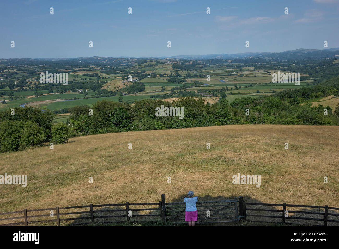 Il Galles, Carmarthenshire, vista della valle Tywi da Paxton's tower Foto Stock