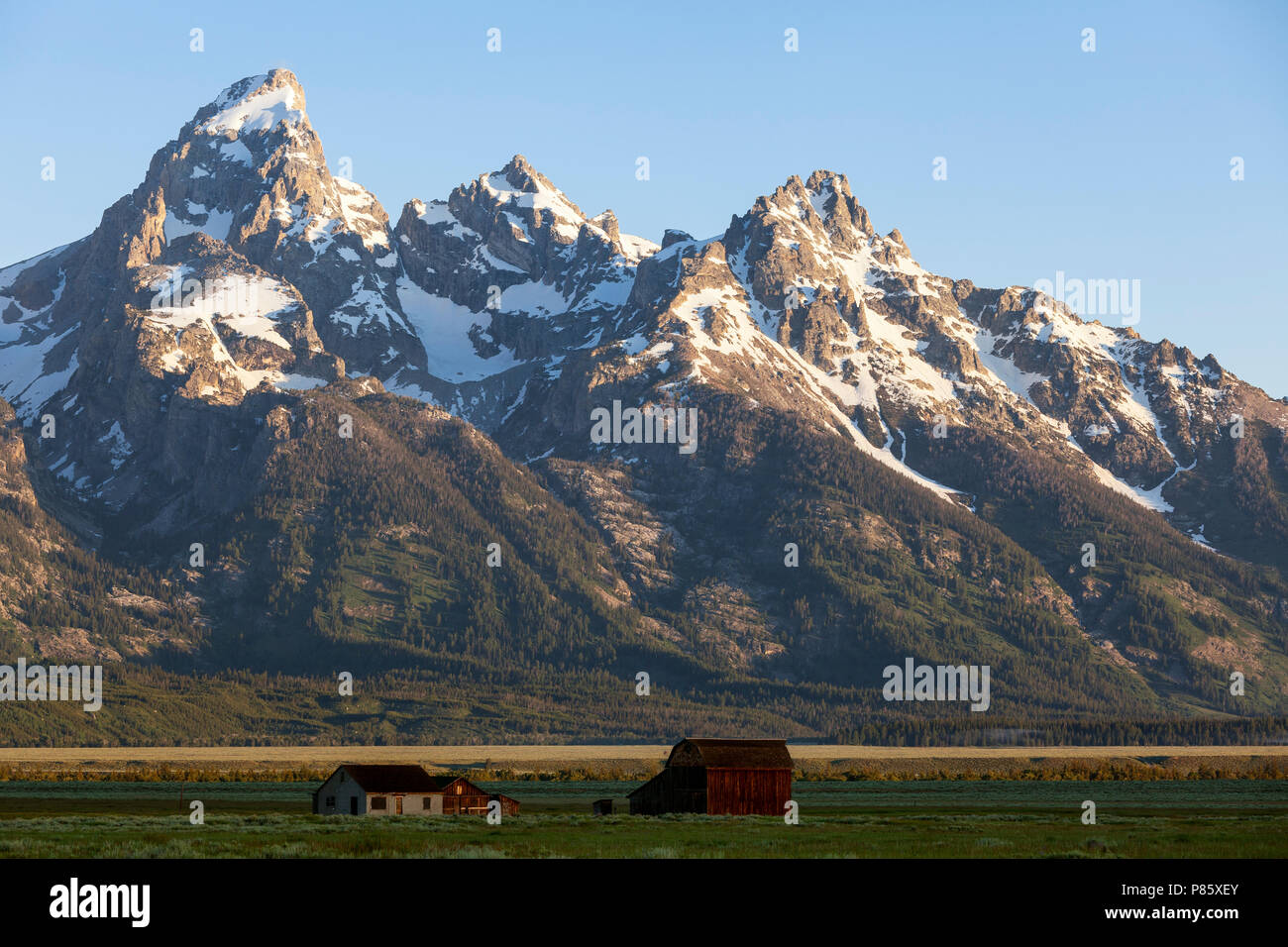 WY02769-00...WYOMING - edifici storici nel Parco Nazionale di Grand Teton lungo il Mormon Stefano con la gamma Teton in background. Foto Stock