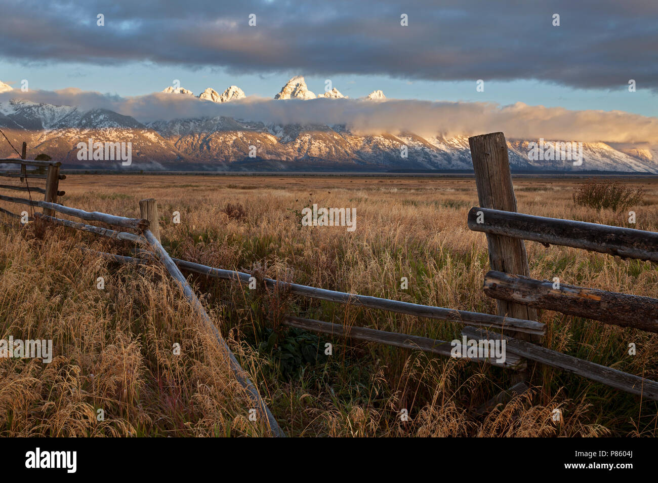 WY02788-00...WYOMING - Sunrise vista del Teton forma gamma Antelope Flats in Grand Teton National Park. Foto Stock