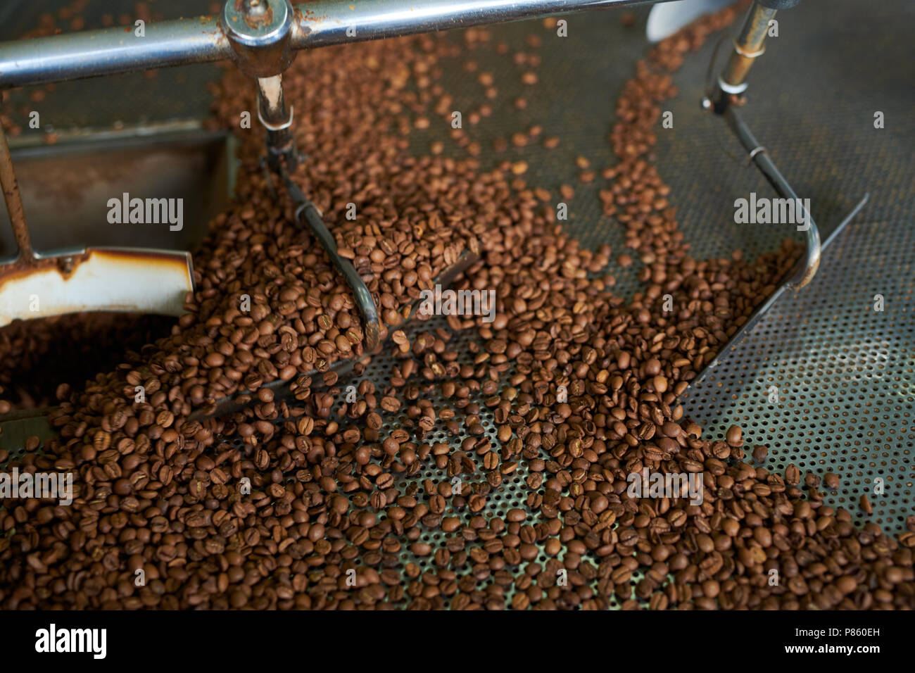 Sopra Visualizza Ingrandimento di marrone cremoso i chicchi di caffè La tostatura in drum machine di artigiani locali roastery, copia di sfondo spazio Foto Stock