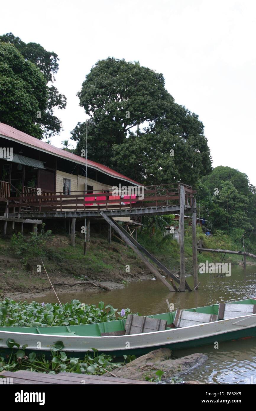 Kinabatangrivier nel Borneo; Fiume Kinabatang nell isola del Borneo Foto Stock