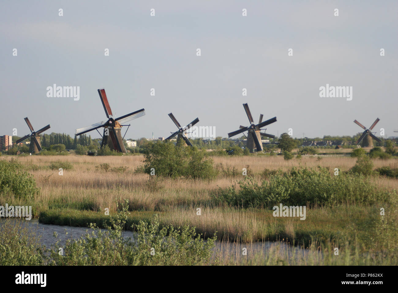 De Kinderdijkse molens, i mulini a vento di Kinderdijk Foto Stock