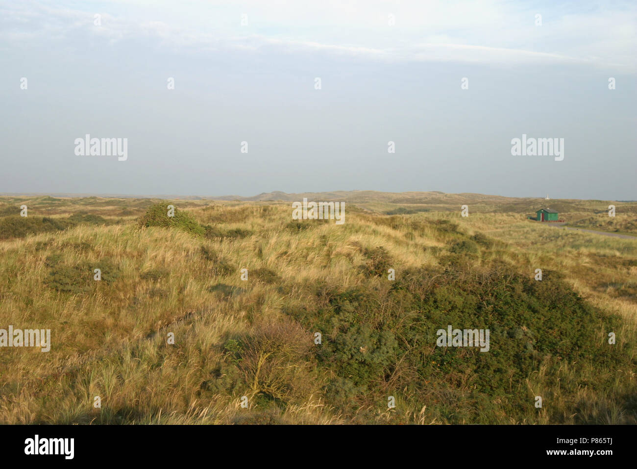 Texel Texel, Foto Stock