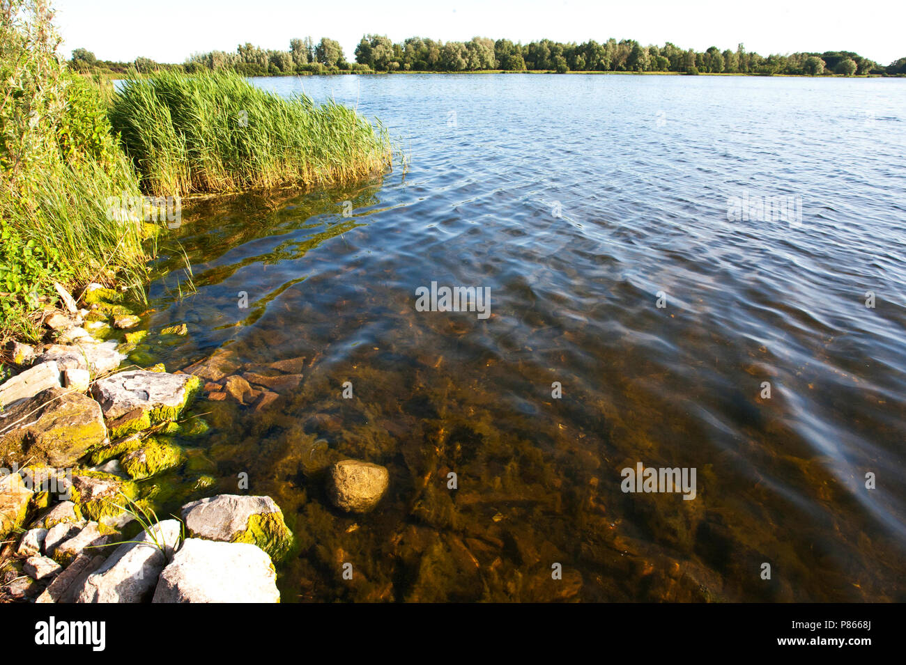Meer in het recreatiegebied Twiske, Noord-Holland; lago nella zona di ricreazione Twikse, Paesi Bassi Foto Stock