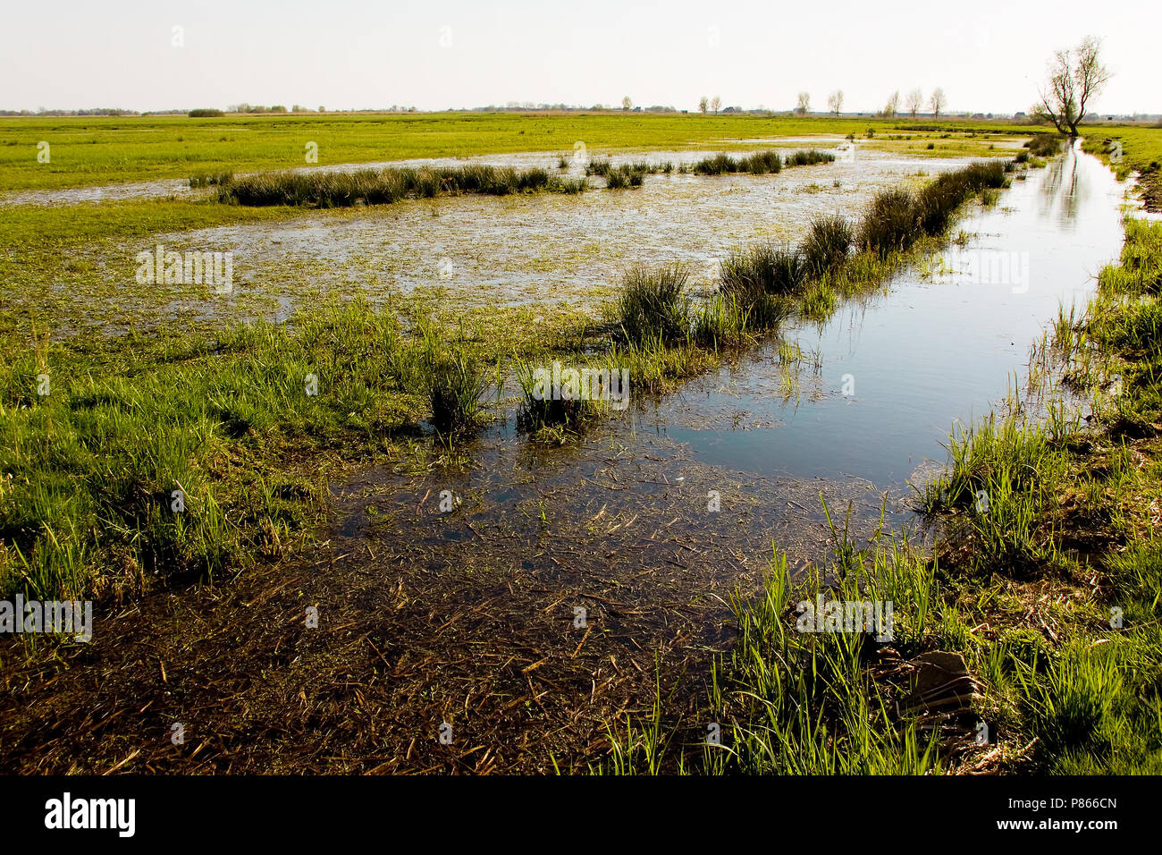 Natte velden in Vecht en Zwarte acqua; campi umidi in Vecht en Zwarte acqua Foto Stock