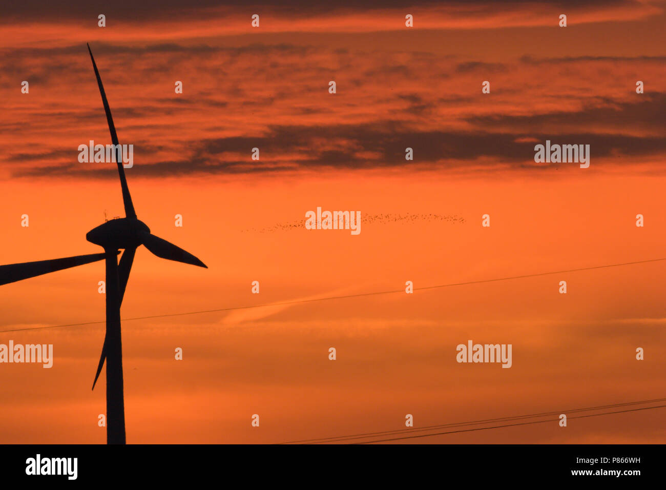 Windmolen tegen avondlucht; mulino a vento contro il cielo di sera Foto Stock