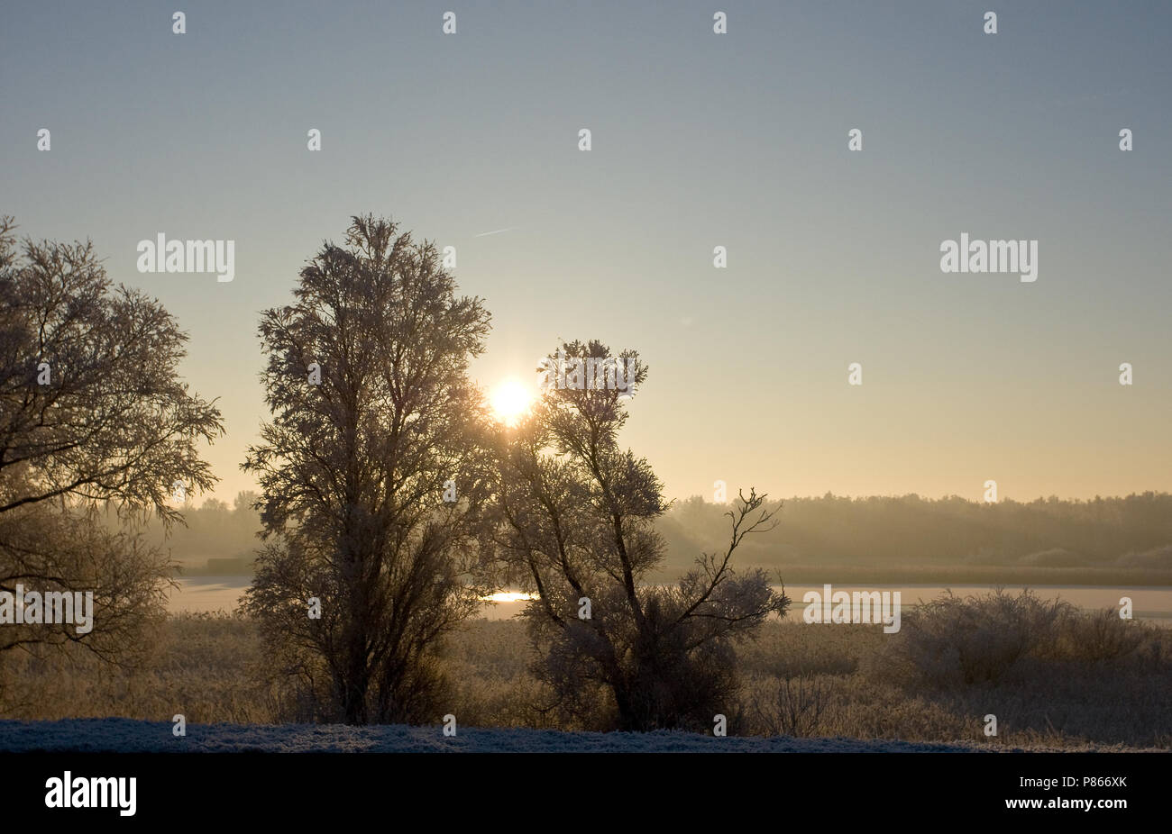 Natura immagine di stock di olandese paesaggio invernale Foto Stock