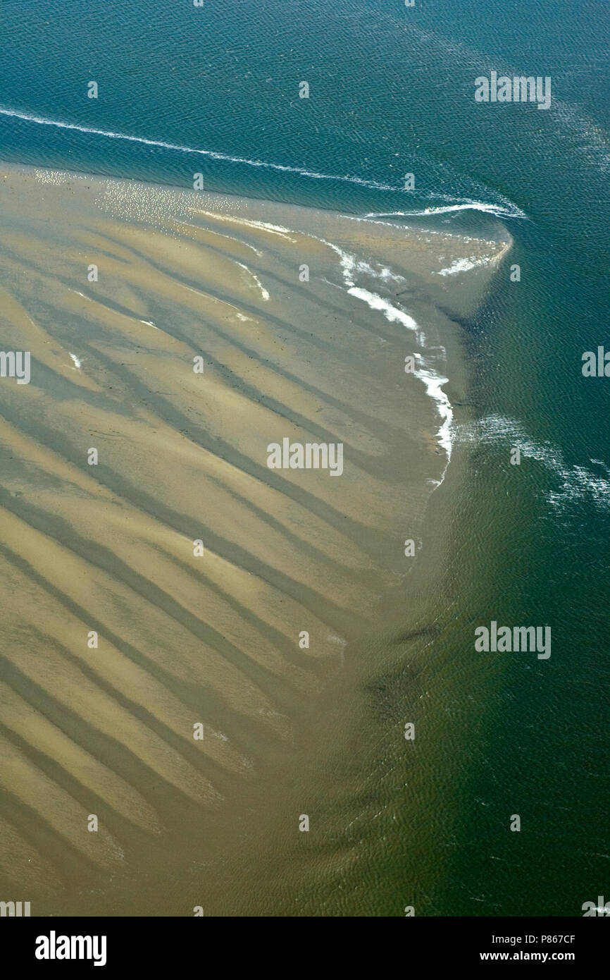 In Zandplaat de Waddenzee; Sandbar nel mare di Wadden Foto Stock