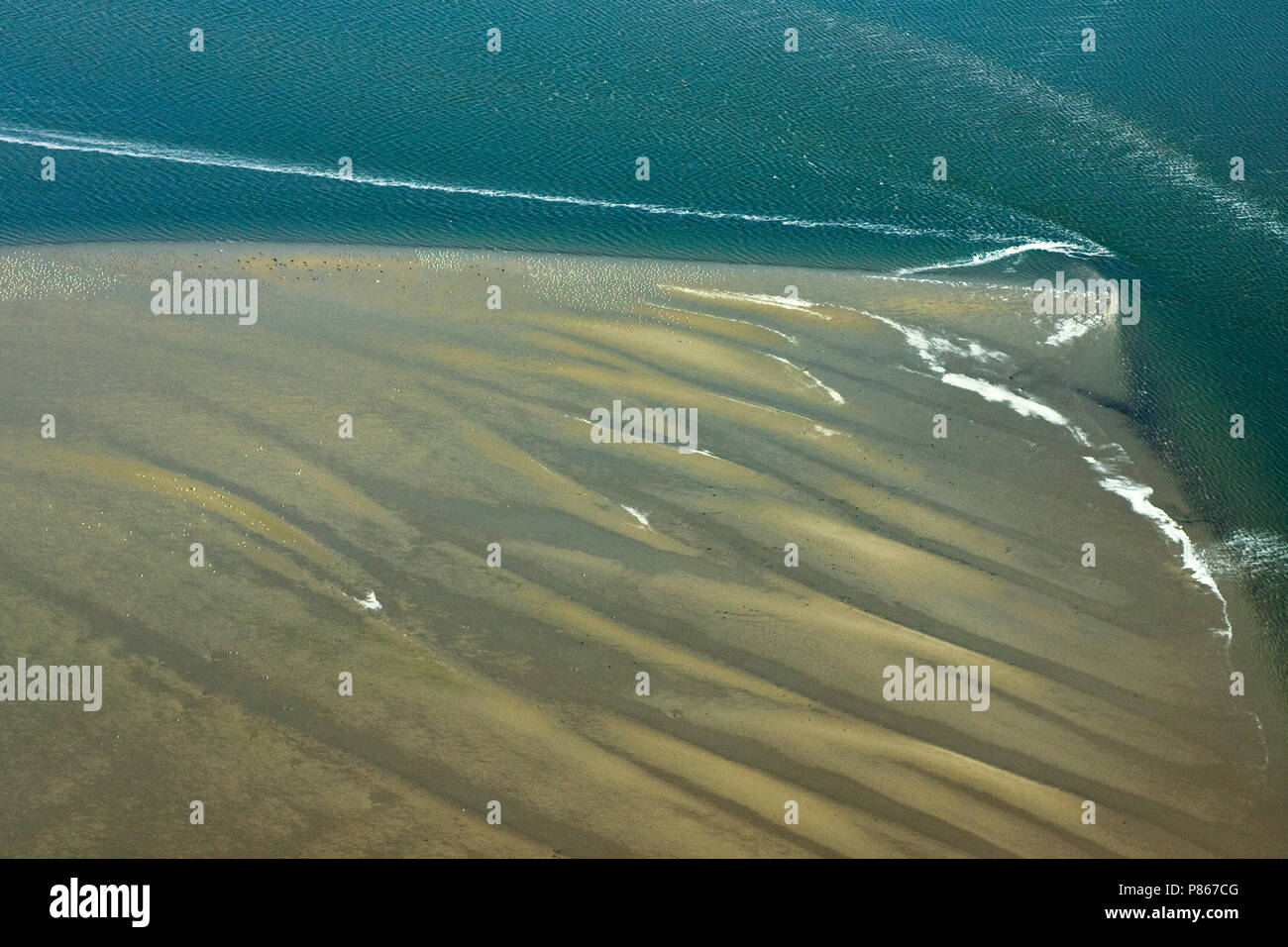 In Zandplaat de Waddenzee; Sandbar nel mare di Wadden Foto Stock