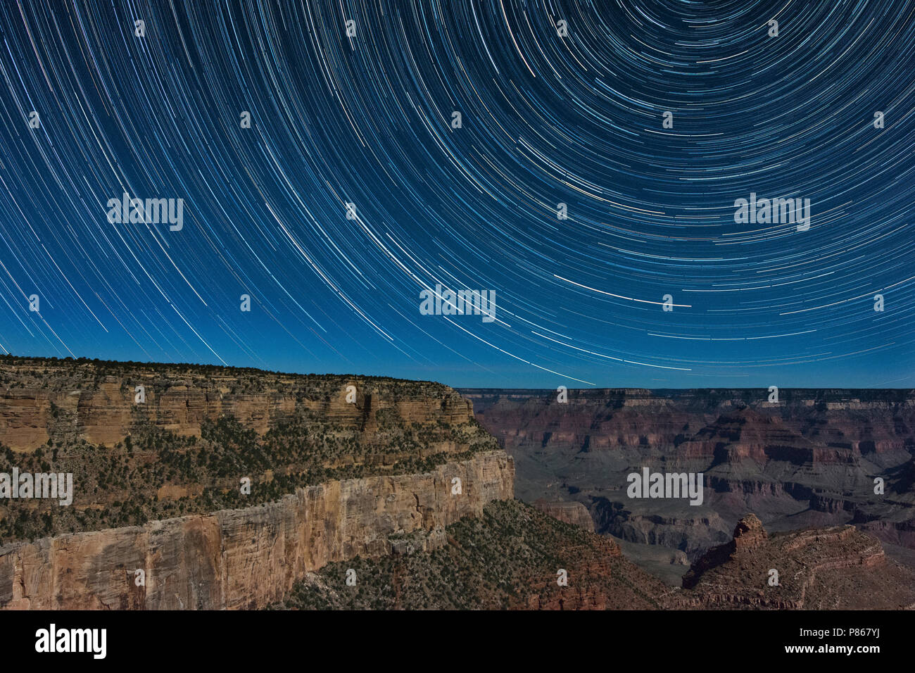 Star trail del Grand Canyon Sout Rim Foto Stock