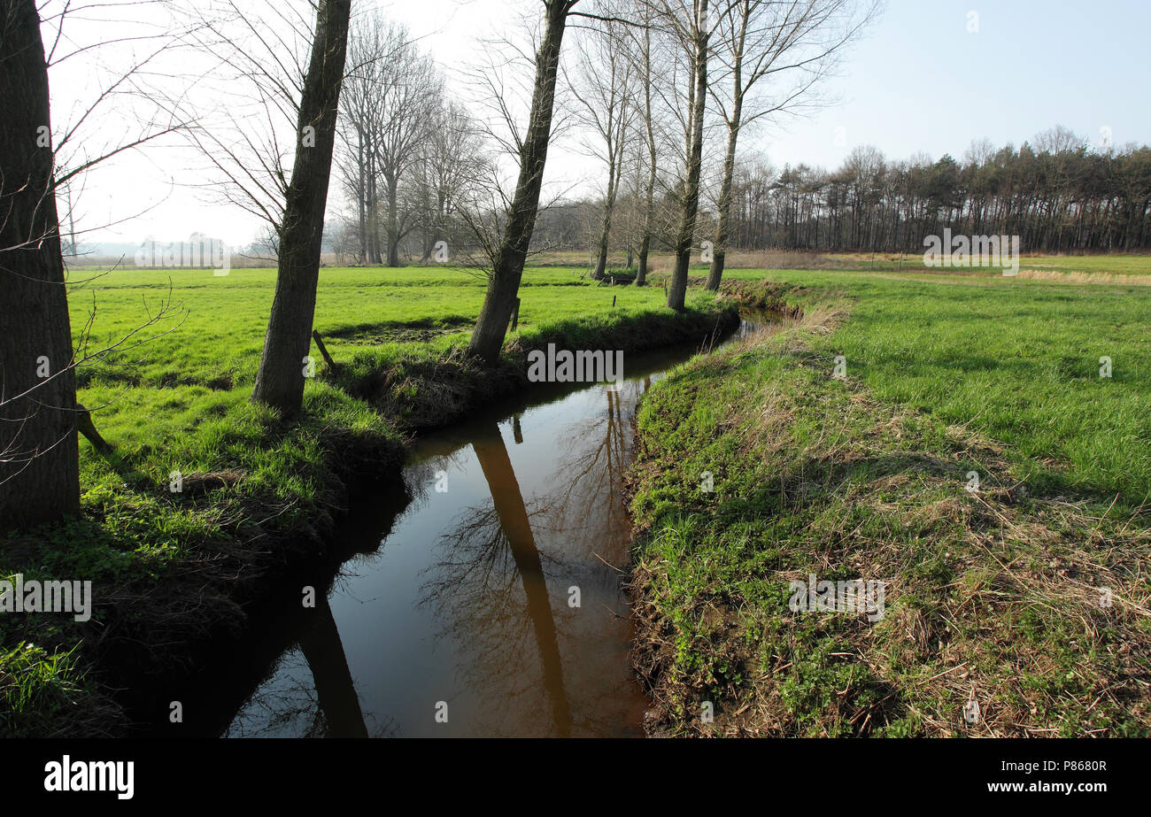 'T Merkske heeft nog destrieri een meanderend karakter. Foto Stock