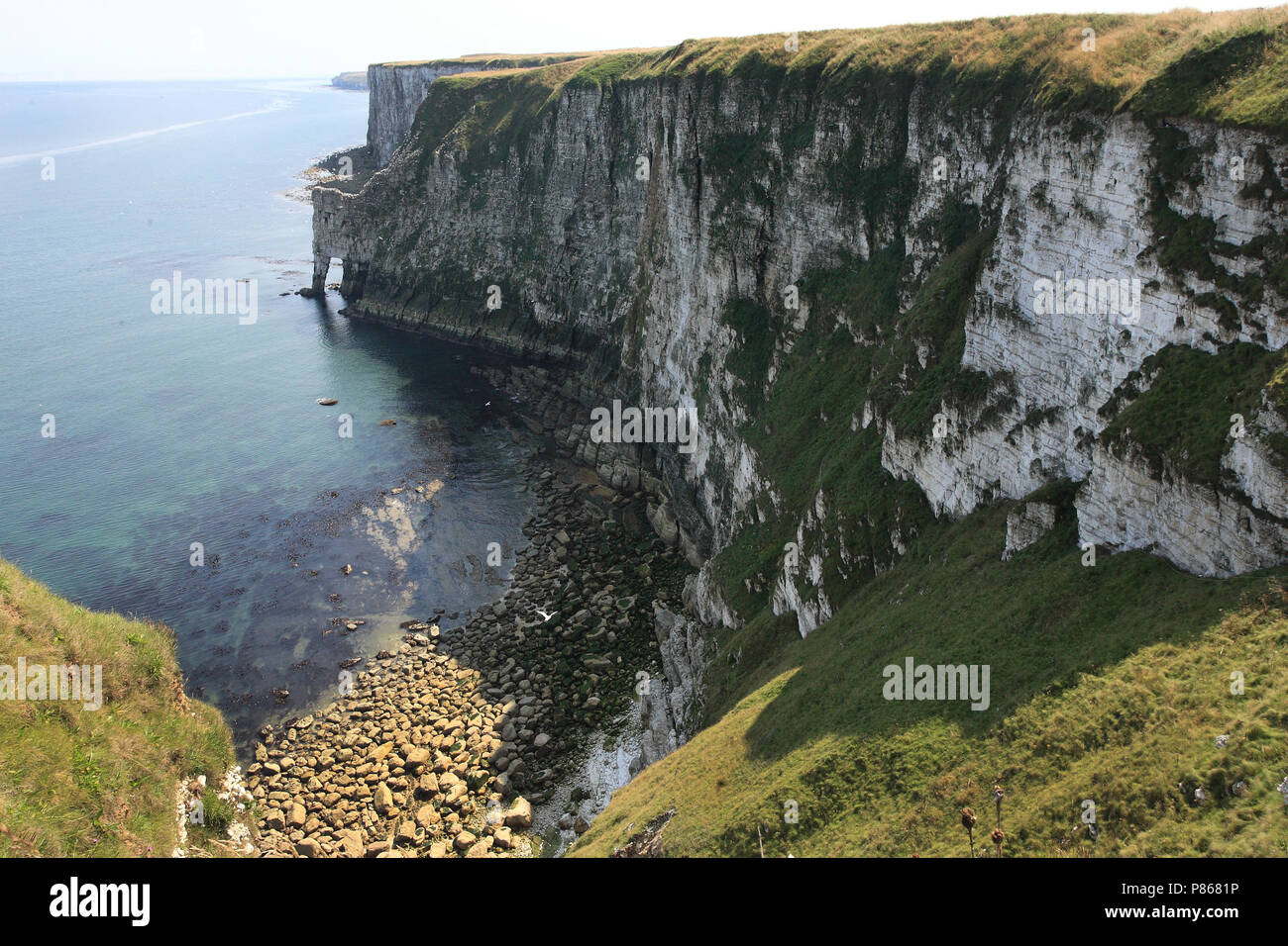 Bempton Cliffs, Inghilterra Foto Stock