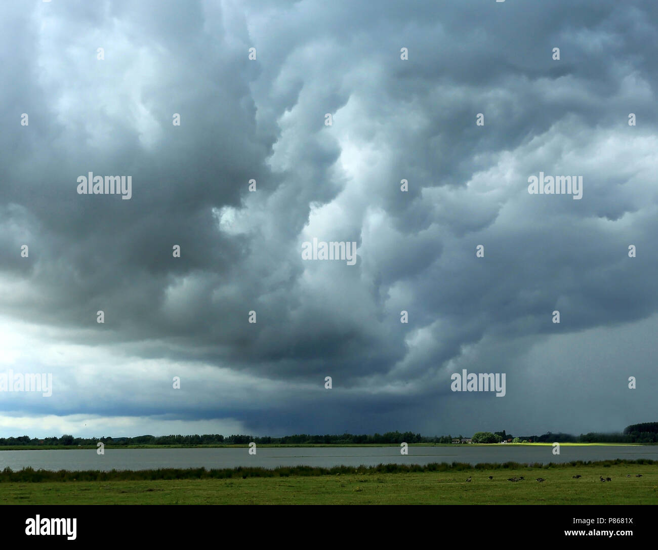 Imposante wolkenformaties boven de Noordwaard in de Biesbosch. Foto Stock