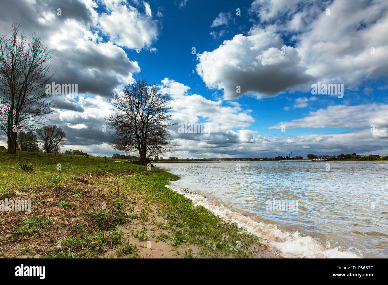 Rivier de Waal, fiume Waal Foto Stock