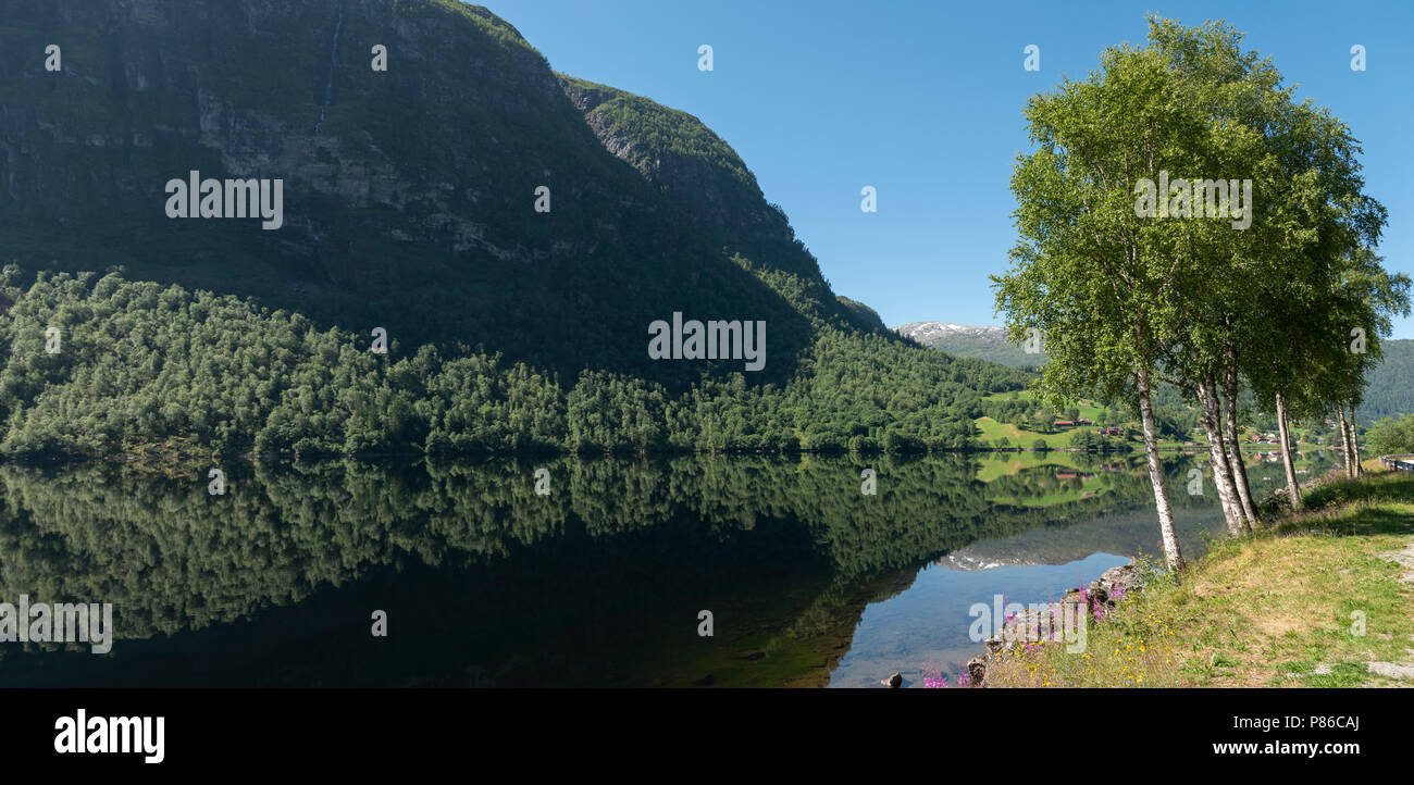 Gaularfjellet, Norvegia Foto Stock