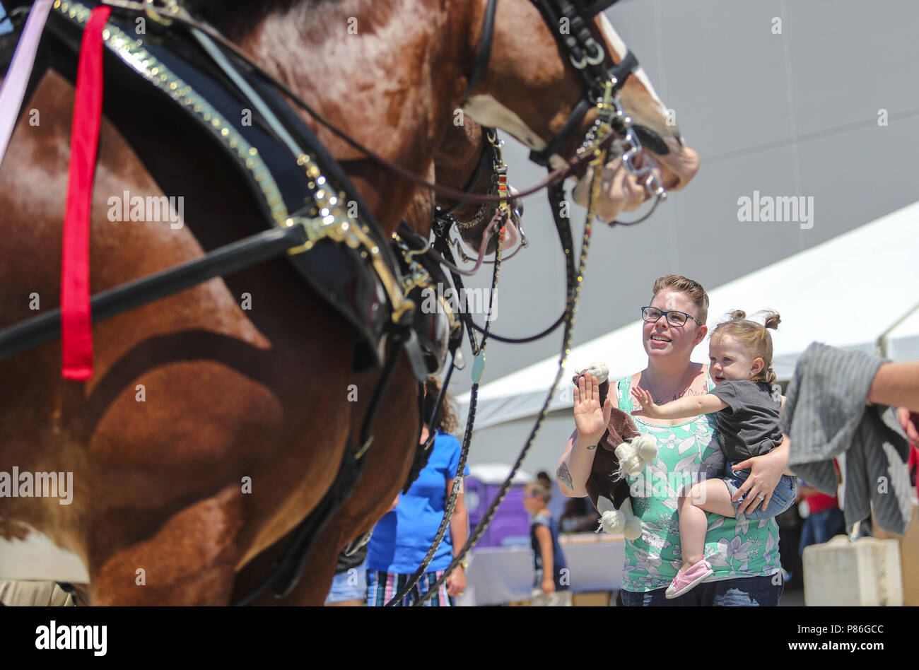 Davenport, Iowa, USA. 7 Luglio, 2018. Steffane Harjehausen, moglie di un 7G la distribuzione di driver di consegna, detiene 22-mese-vecchio Cassidy come ella onde per la Budweiser Clydesdales a 7G del nuovo centro di distribuzione a Davenport il Sabato 7 luglio 2018. Credito: Andy Abeyta, Quad-City volte/Quad-City volte/ZUMA filo/Alamy Live News Foto Stock