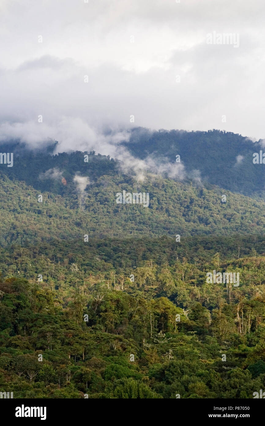 San Isidro pendio ovest Andes Ecuador Foto Stock