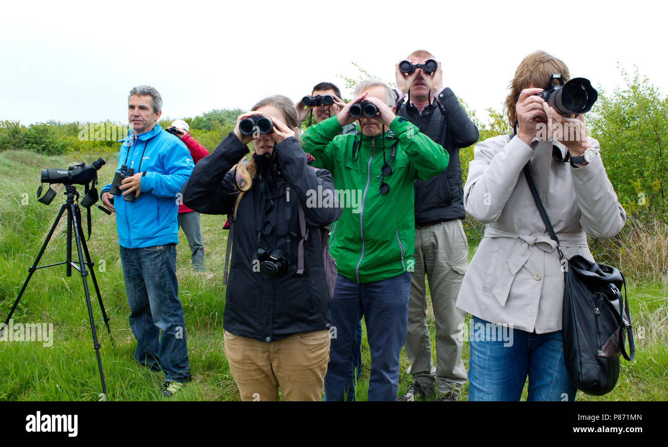 Vogelaars, Birdwatcher Foto Stock