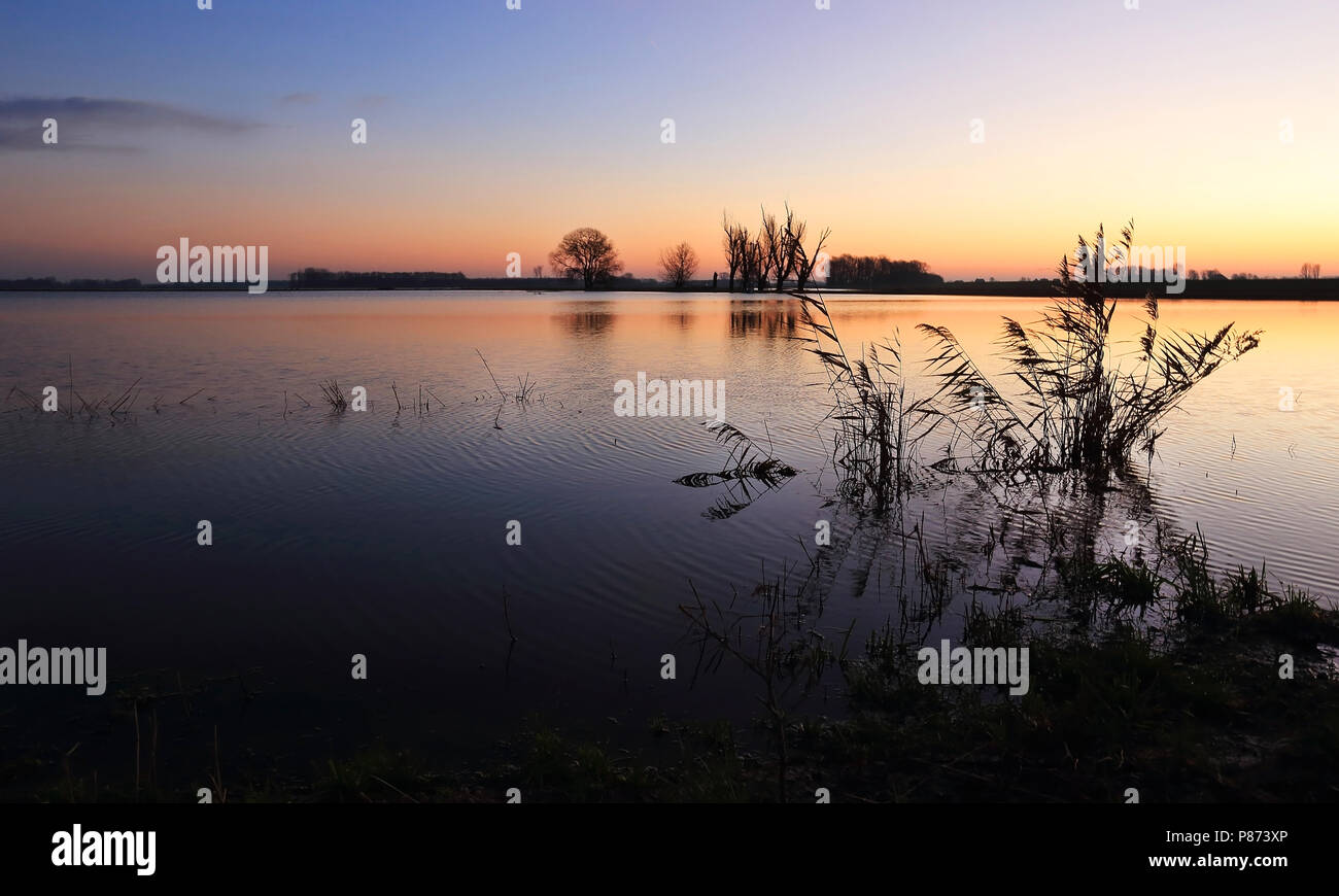De Noordwaard è een voormalig landbouwgebied in de gemeente Werkendam. Na de werkzaamheden in het kader van Ruimte voor de Rivier veranderde een gro Foto Stock