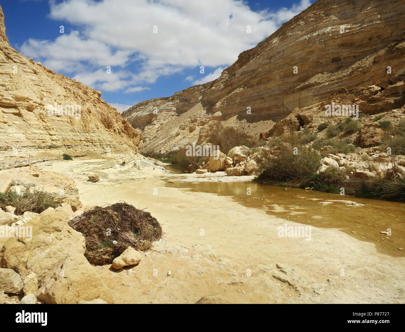 Wadi ein Avdat, Israele Foto Stock
