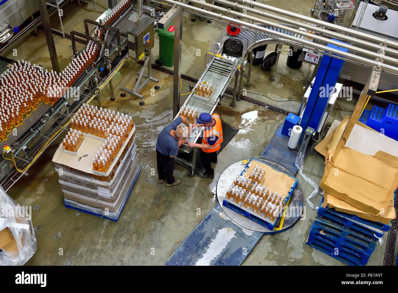 Imbottigliamento di linea di produzione, Healeys Cornish sidro Farm,Penhallow, Truro,Cornwall,l'Inghilterra,UK Foto Stock