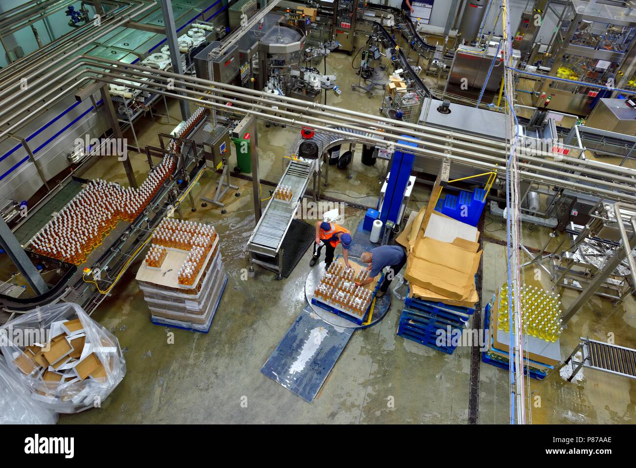 Imbottigliamento di linea di produzione, Healeys Cornish sidro Farm,Penhallow, Truro,Cornwall,l'Inghilterra,UK Foto Stock