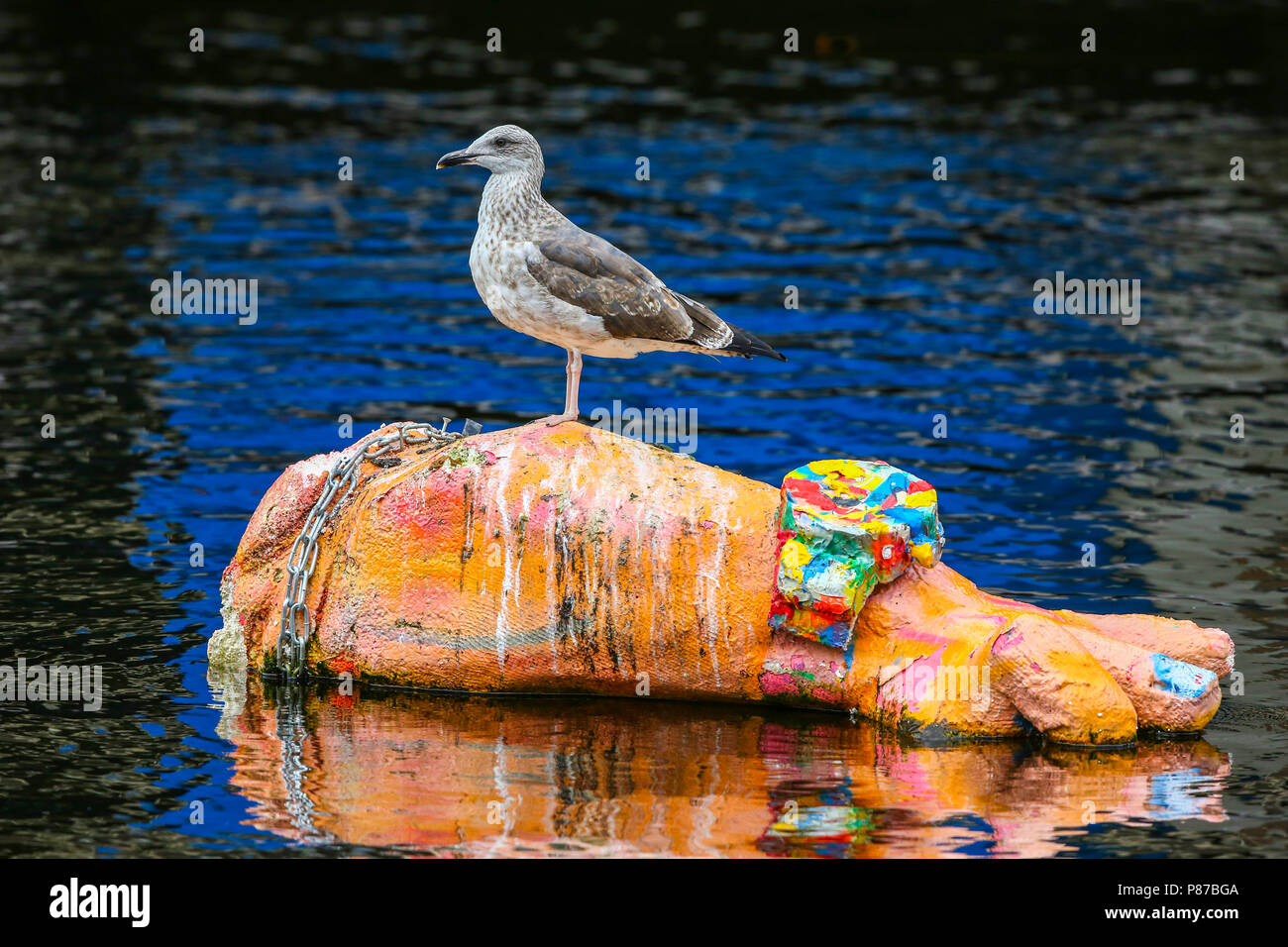 Kleine Mantelmeeuw op een kunstwerk; Minor Black-backed Gull su artwork Foto Stock