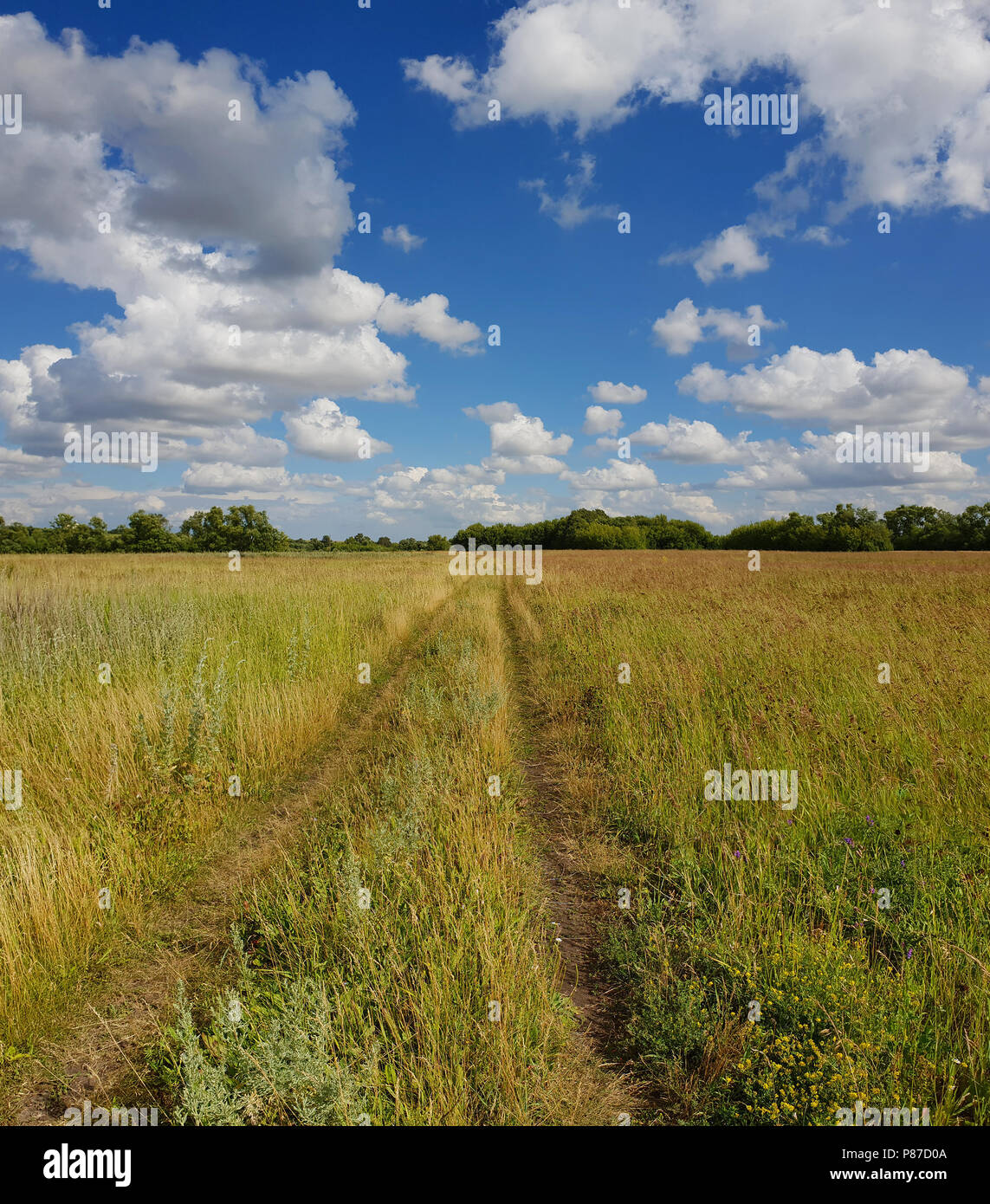 Bella estate paesaggio con strada in Russia Foto Stock