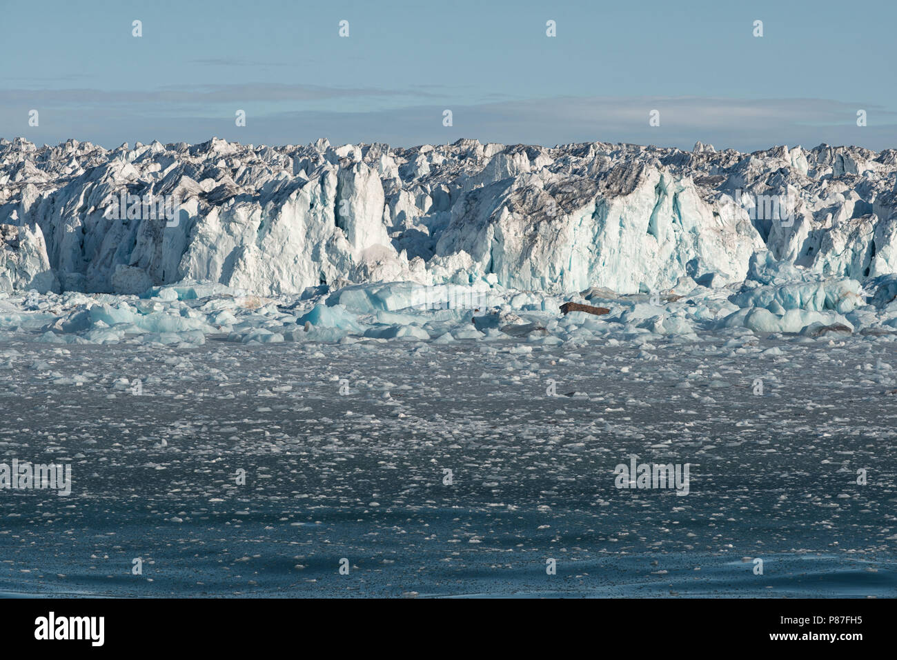 Il ghiaccio di deriva copre l'oceano vicino al cappuccio di ghiaccio artico Austfonna, Nordaustlandet, Arcipelago di Svalbard, Norvegia Foto Stock