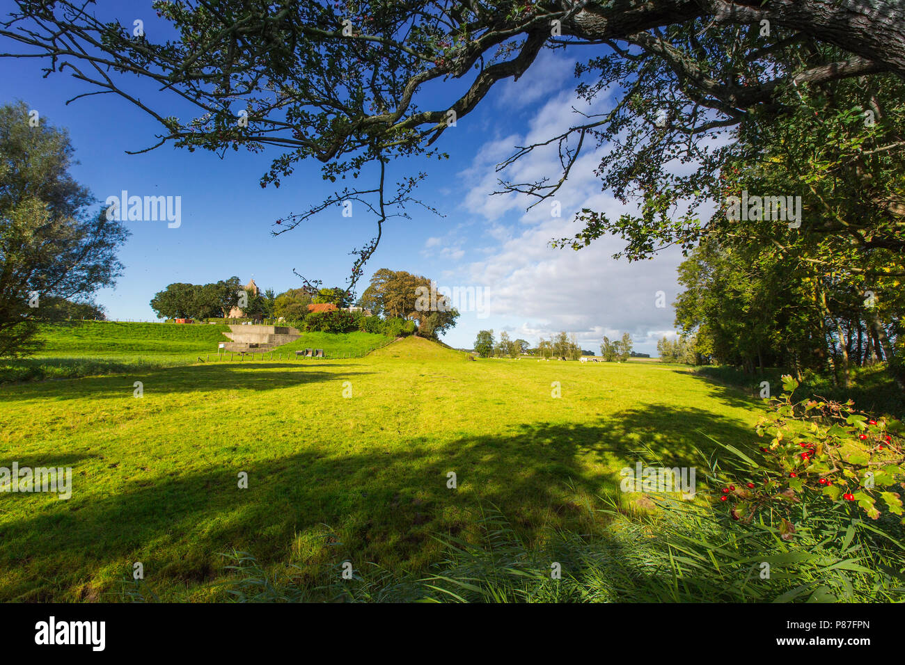 Terp Hegebeintum dorp, dimora artificiale collina paese Hegebeintum Foto Stock