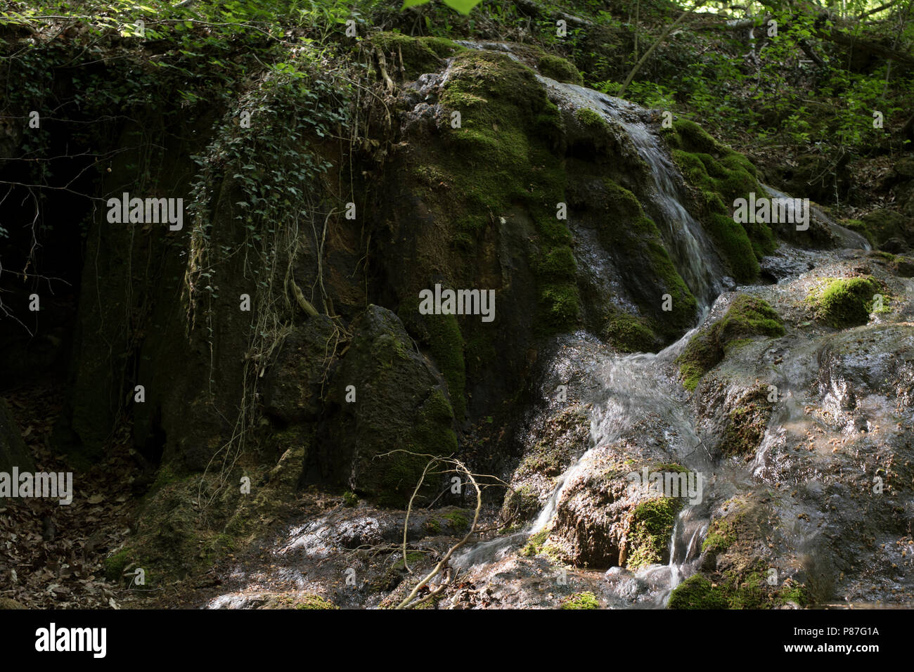 Cascata di montagna su moss Foto Stock