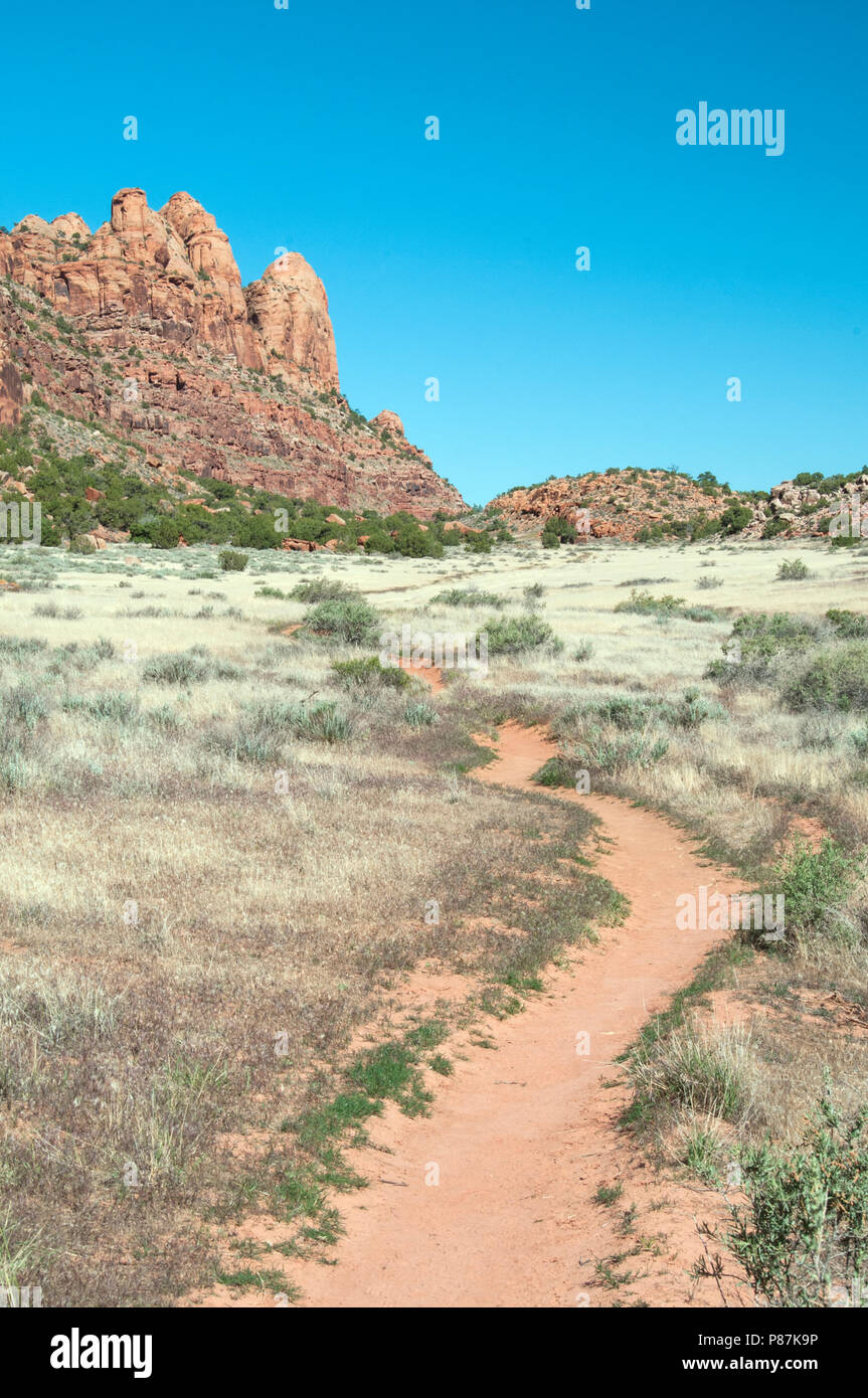 Moab Utah percorso del deserto Foto Stock