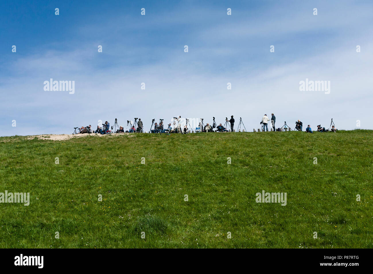 Gruppo di ornitologi annegata in terra di Saeftinghe Foto Stock