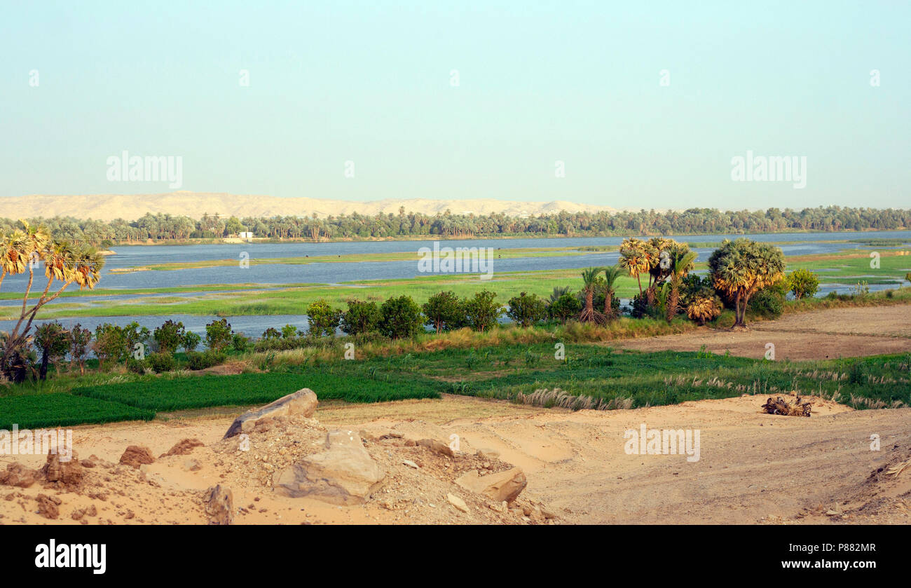 Nijl vallei, valle del Nilo Foto Stock