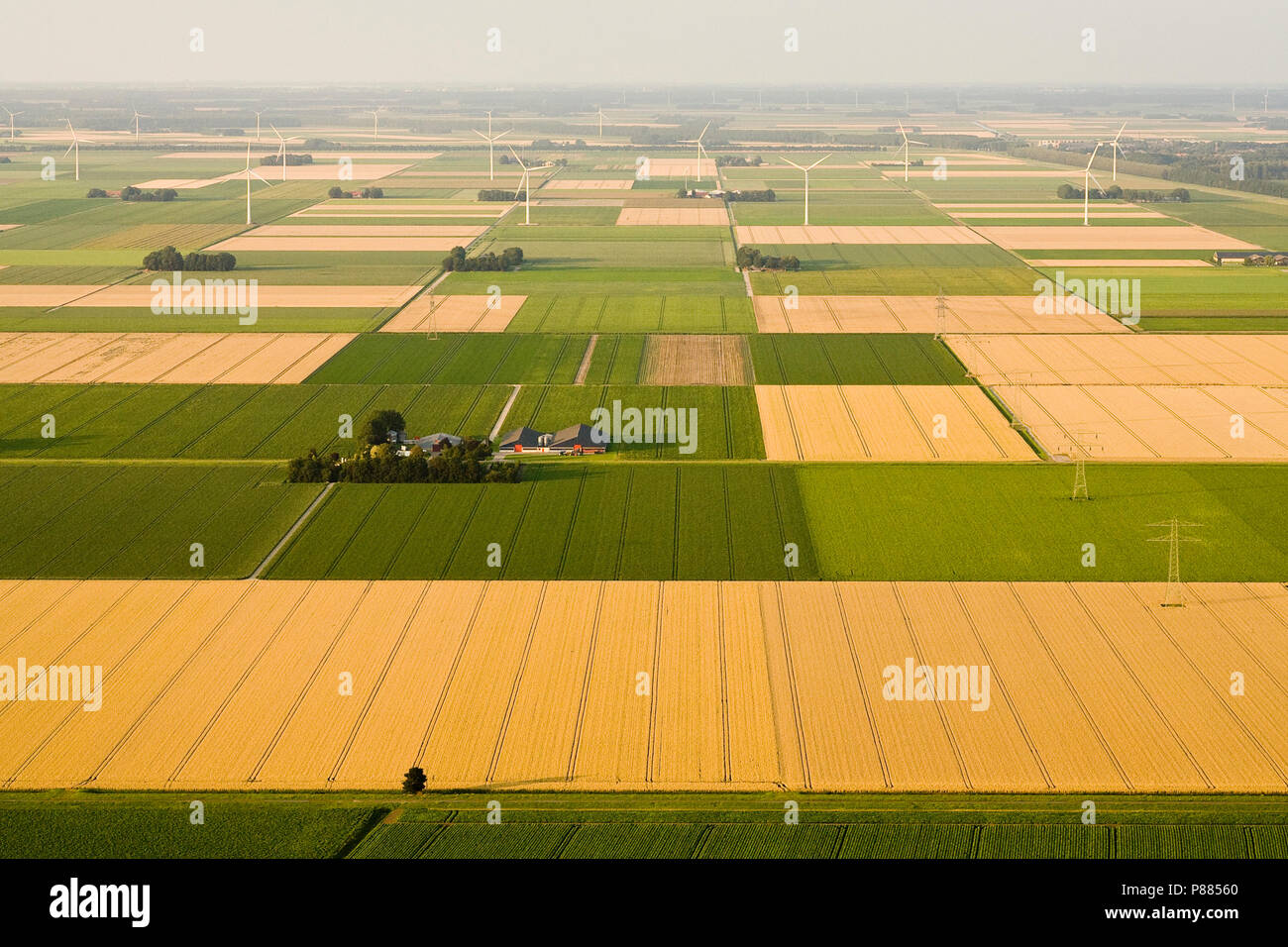 Luchtfotografie van het landschap van Noord-Holland; la fotografia aerea di Noord-Holland paesaggio Foto Stock