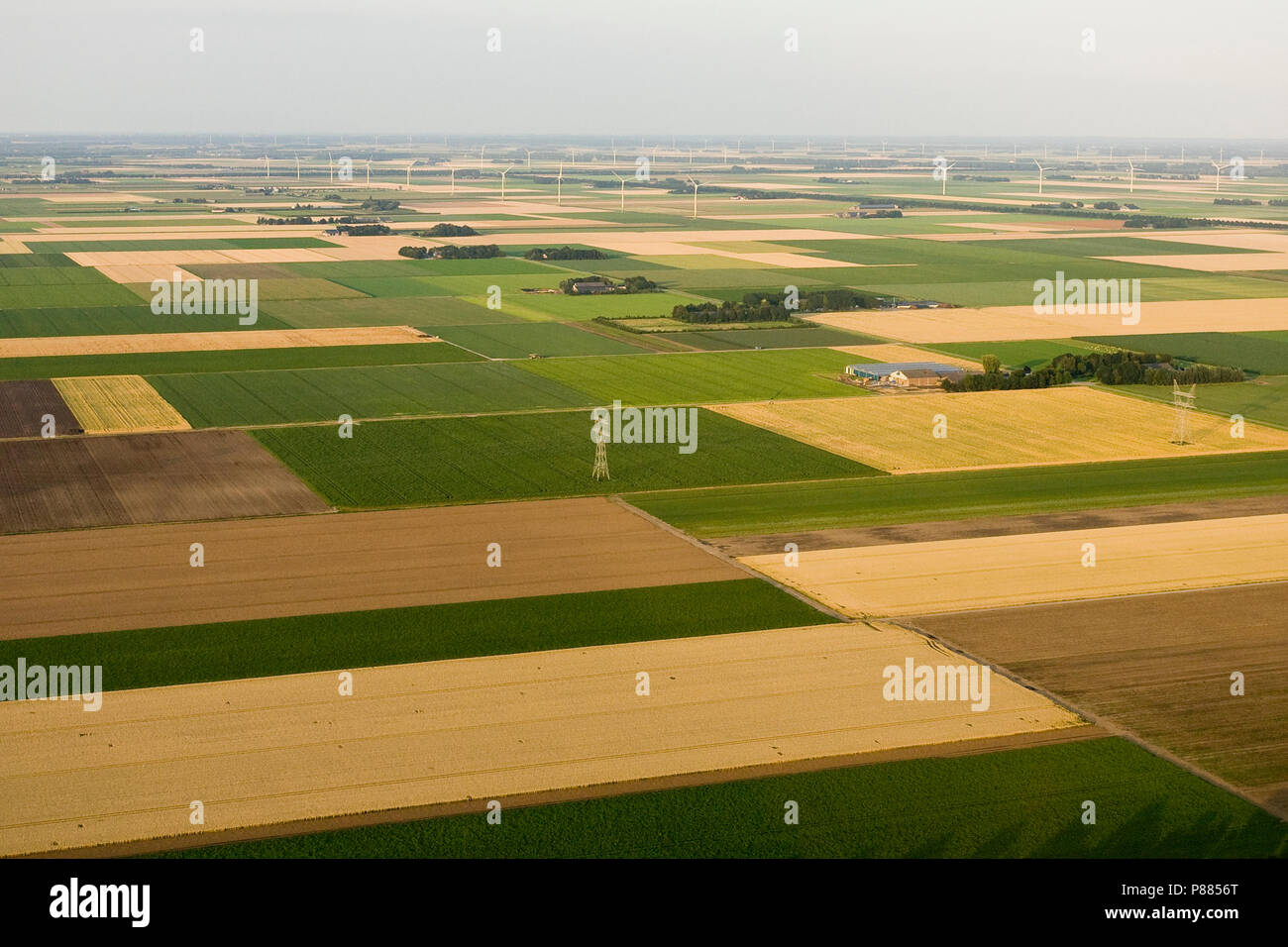 Luchtfotografie van het landschap van Noord-Holland; la fotografia aerea di Noord-Holland paesaggio Foto Stock