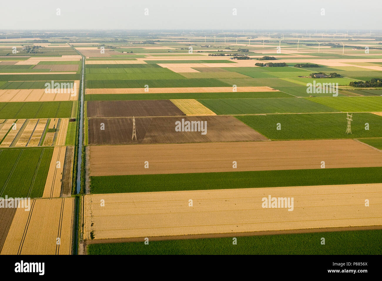 Luchtfotografie van het landschap van Noord-Holland; la fotografia aerea di Noord-Holland paesaggio Foto Stock