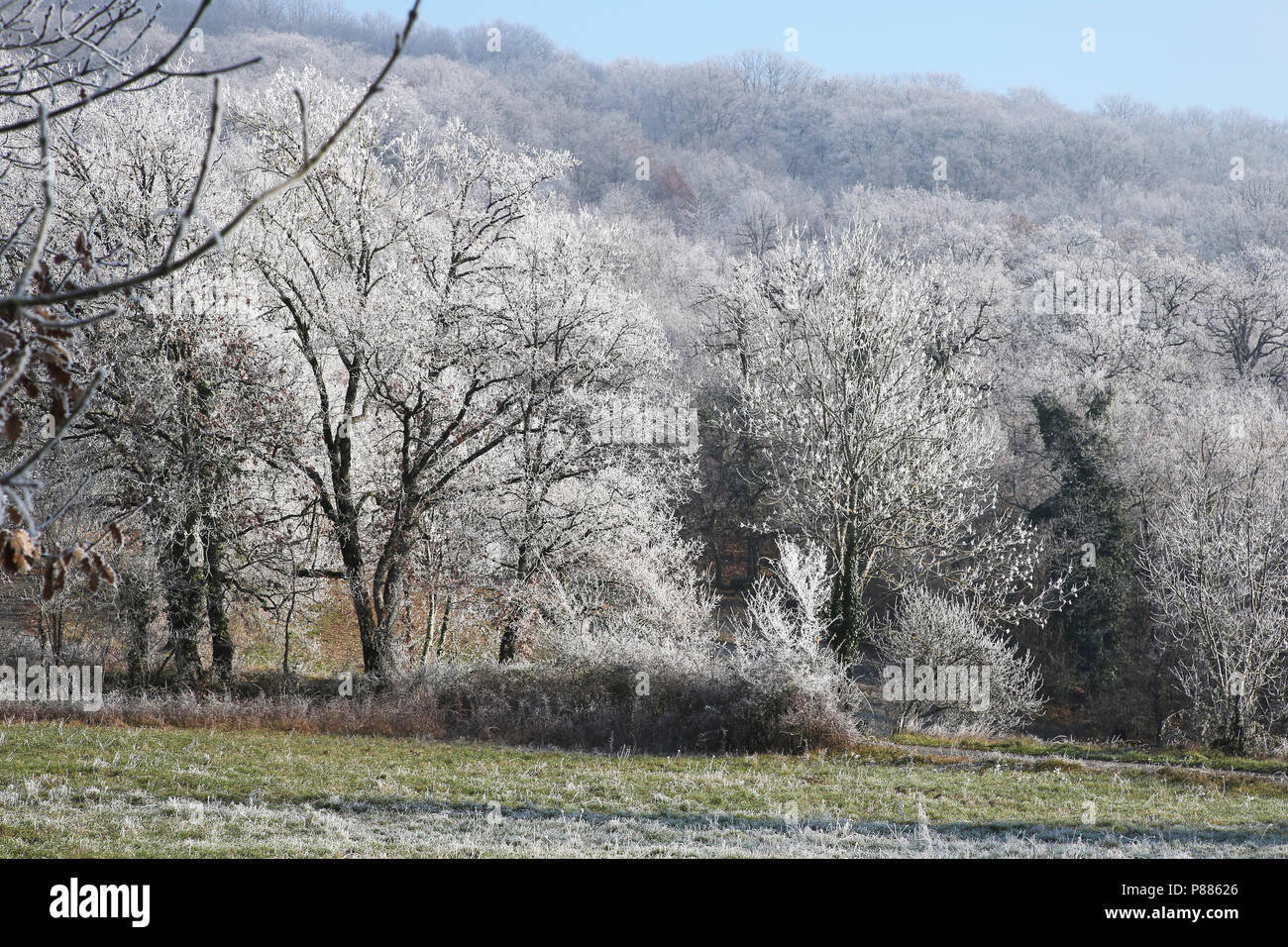 La brina sul bosco sopra San Marziale, Varen, Occitanie, Francia in inverno. L'effetto è durato fino a quando la somma fuso il gelo nel tardo pomeriggio Foto Stock