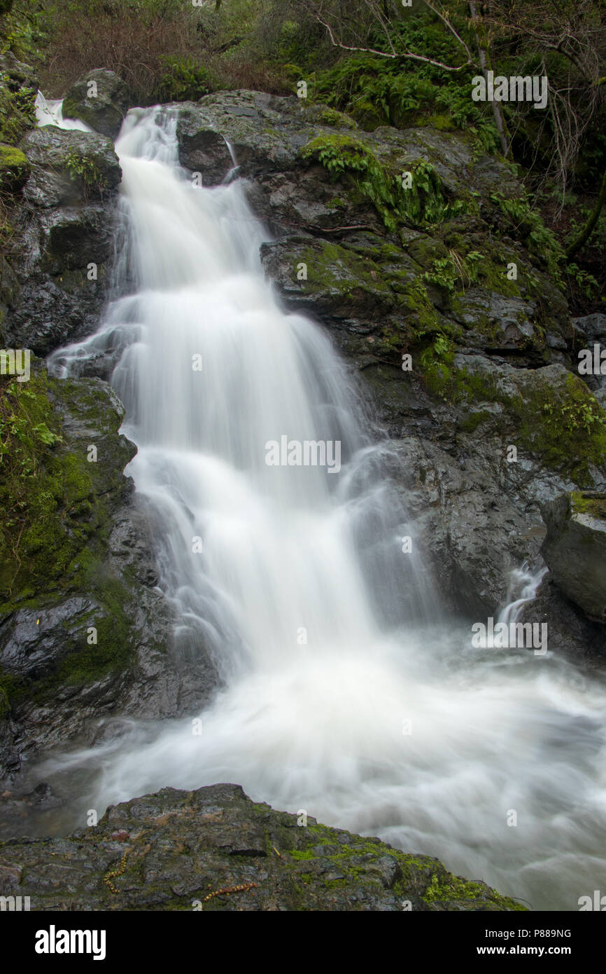 Cascata cade in pieno inverno il flusso. Nei pressi di Fairfax. CA. Foto Stock