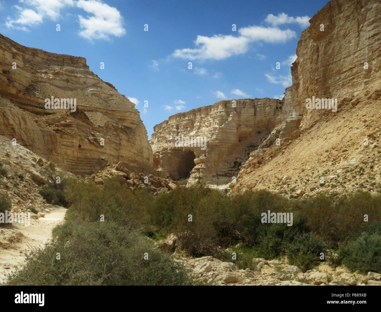 Wadi ein Avdat, Israele Foto Stock