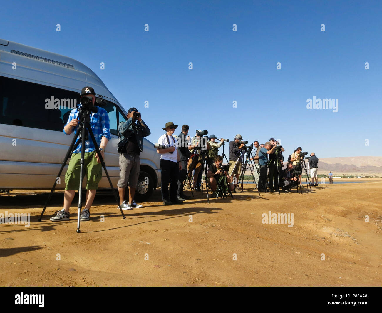 Groep vogelaars incontrato verrekijkers en stethoscopen in woestijn; Gruppo di birdwatching con il binocolo e stetoscopi nel deserto Foto Stock