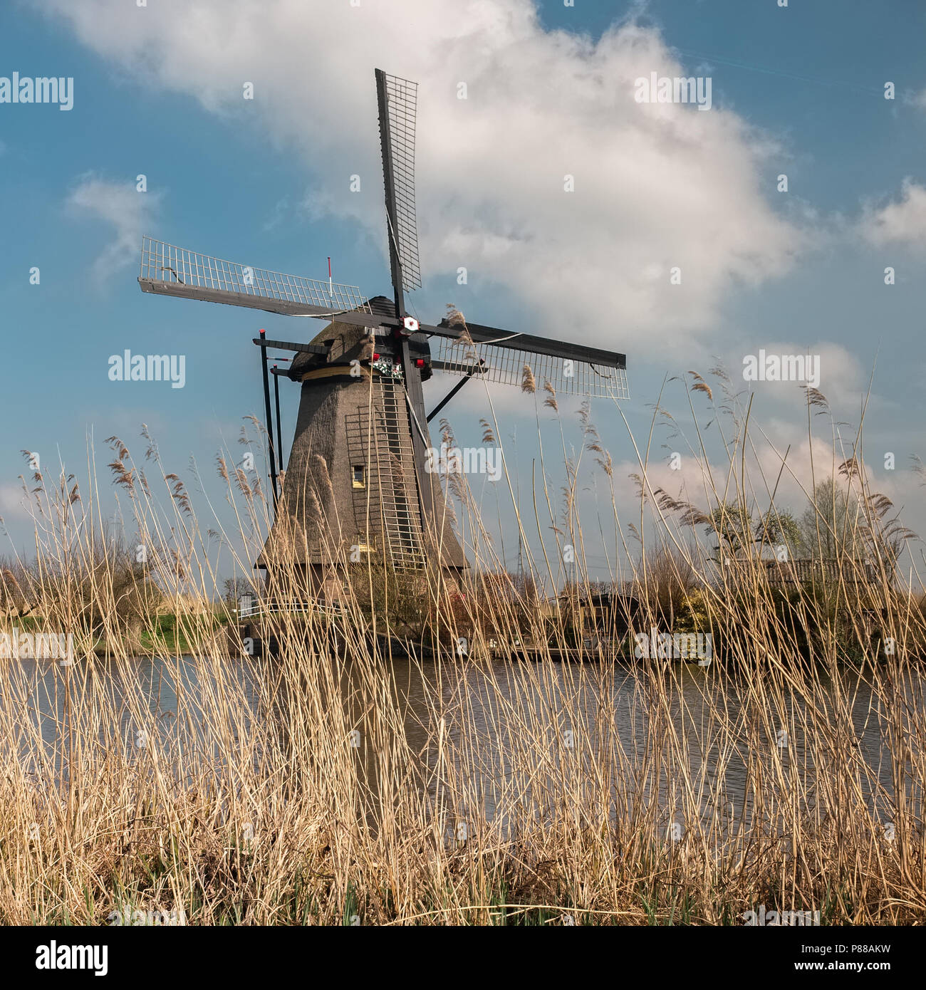 Il mulino a vento e reed nel sito Unesco di Kinderdijk, domenica 3 aprile 2016, Kinderdijk, Paesi Bassi. Foto Stock
