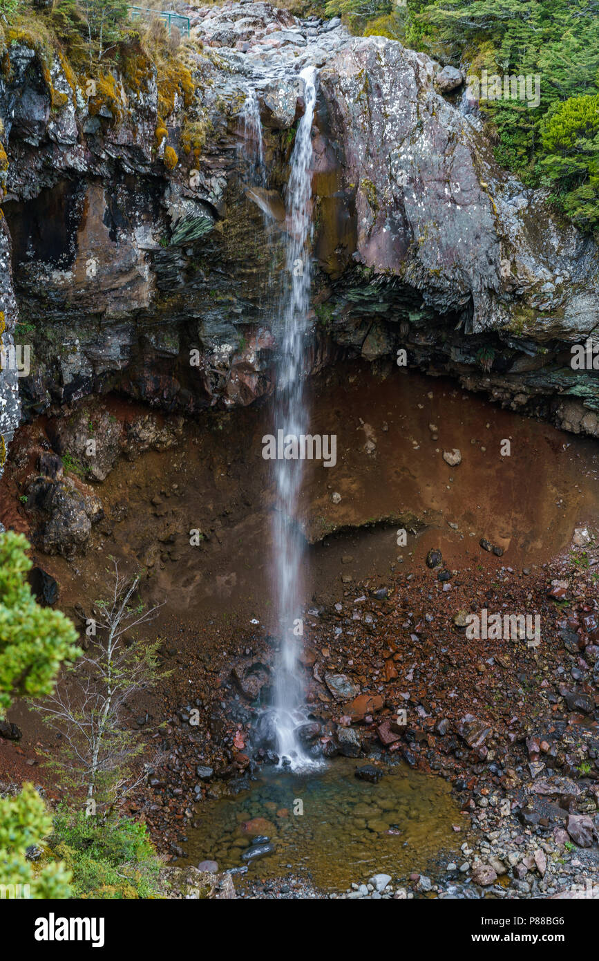 L'acqua cade nella foresta, mangawhero cade, tongariro, Nuova Zelanda Foto Stock